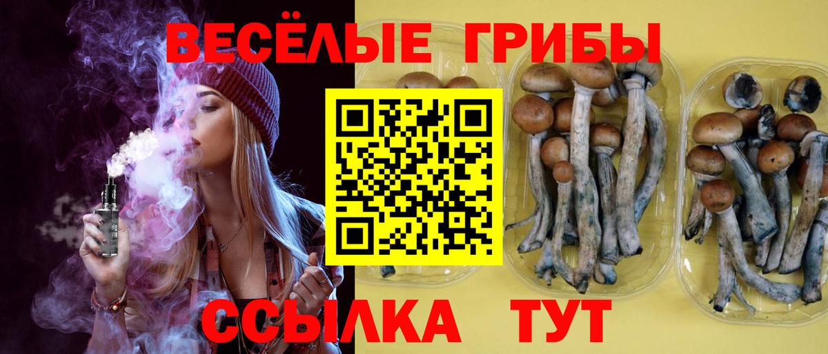 Галлюциногенные грибы прущие грибы  Вход с VPN  Тимашёвск 
